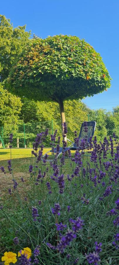Amb Village Point Dob Dış mekan fotoğraf